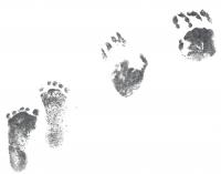 Christopher  S. Adams